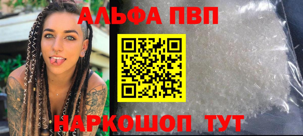 A-PVP СК Вологда