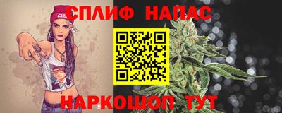 ECSTASY Гатчина