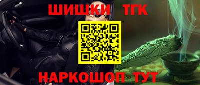 ECSTASY Гатчина