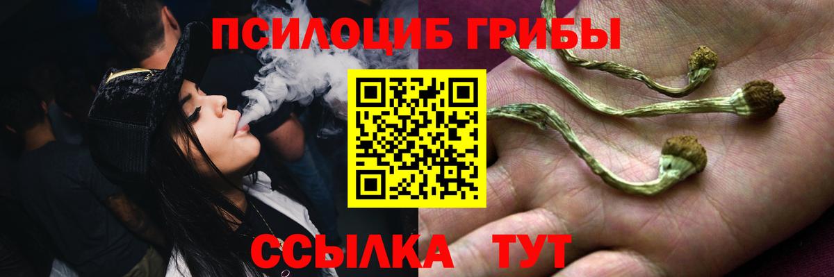 Галлюциногенные грибы мухоморы Вологда